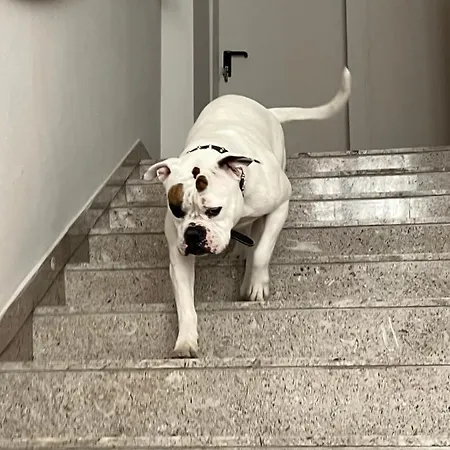 Cuba Nuova Gestione Hotel Rimini