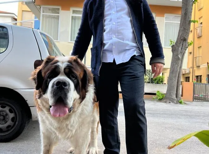 Cuba Nuova Gestione Hotel 3*