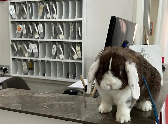 Cuba Nuova Gestione 3* Rimini