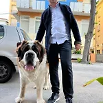 Cuba Nuova Gestione Hotel 3*