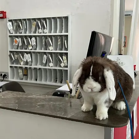 Cuba Nuova Gestione 3* Ρίμινι