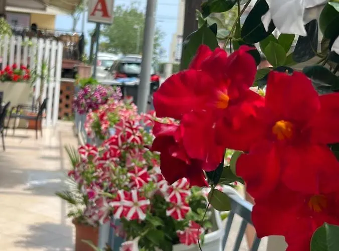 Cuba Nuova Gestione 3* Rimini