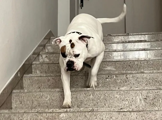 Cuba Nuova Gestione Hotel Rimini