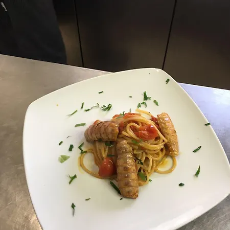 Cuba Nuova Gestione Otel 3*